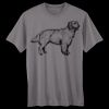 Adult Cool DRI® with FreshIQ T-Shirt Thumbnail