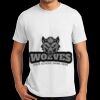 Unisex Ecosmart ® T-Shirt Thumbnail
