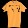 Adult Essential Short Sleeve T-Shirt Thumbnail