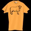 Adult Essential Short Sleeve T-Shirt Thumbnail
