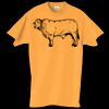 Adult Essential Short Sleeve T-Shirt Thumbnail