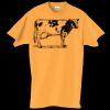 Adult Essential Short Sleeve T-Shirt Thumbnail