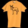 Adult Essential Short Sleeve T-Shirt Thumbnail