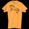 Adult Essential Short Sleeve T-Shirt Thumbnail