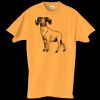 Adult Essential Short Sleeve T-Shirt Thumbnail