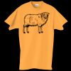 Adult Essential Short Sleeve T-Shirt Thumbnail