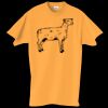 Adult Essential Short Sleeve T-Shirt Thumbnail