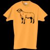 Adult Essential Short Sleeve T-Shirt Thumbnail