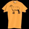 Adult Essential Short Sleeve T-Shirt Thumbnail