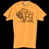 Adult Essential Short Sleeve T-Shirt Thumbnail
