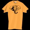 Adult Essential Short Sleeve T-Shirt Thumbnail