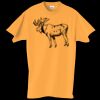 Adult Essential Short Sleeve T-Shirt Thumbnail