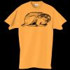 Adult Essential Short Sleeve T-Shirt Thumbnail