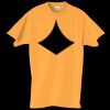Adult Essential Short Sleeve T-Shirt Thumbnail