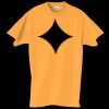 Adult Essential Short Sleeve T-Shirt Thumbnail