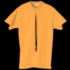 Adult Essential Short Sleeve T-Shirt Thumbnail
