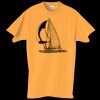 Adult Essential Short Sleeve T-Shirt Thumbnail
