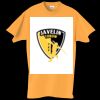 Adult Essential Short Sleeve T-Shirt Thumbnail