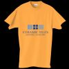 Adult Essential Short Sleeve T-Shirt Thumbnail