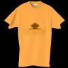 Adult Essential Short Sleeve T-Shirt Thumbnail