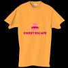 Adult Essential Short Sleeve T-Shirt Thumbnail