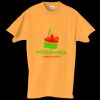 Adult Essential Short Sleeve T-Shirt Thumbnail