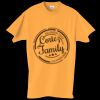 Adult Essential Short Sleeve T-Shirt Thumbnail