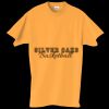 Adult Essential Short Sleeve T-Shirt Thumbnail