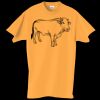 Adult Essential Short Sleeve T-Shirt Thumbnail