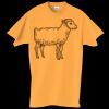 Adult Essential Short Sleeve T-Shirt Thumbnail