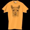 Adult Essential Short Sleeve T-Shirt Thumbnail