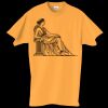 Adult Essential Short Sleeve T-Shirt Thumbnail