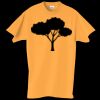 Adult Essential Short Sleeve T-Shirt Thumbnail