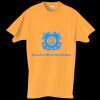 Adult Essential Short Sleeve T-Shirt Thumbnail